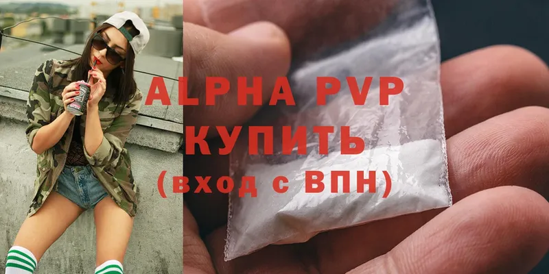 A PVP СК КРИС  Грозный 